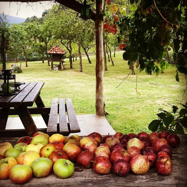 La Corrala De Jose Susana San Miguel  ภายนอก รูปภาพ